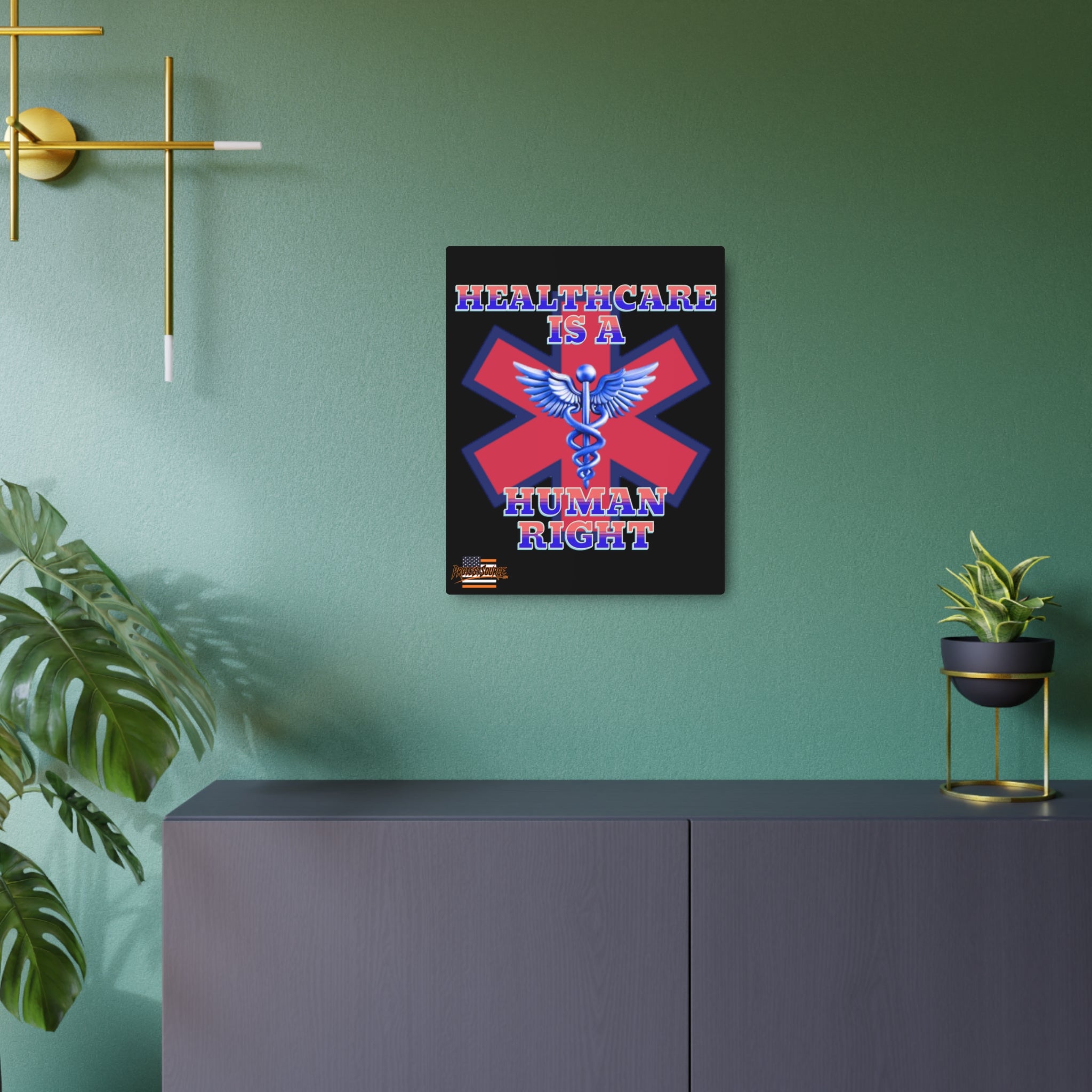 Healthcare is a Human Right 16" X 20" Aluminum Metal Protest Sign