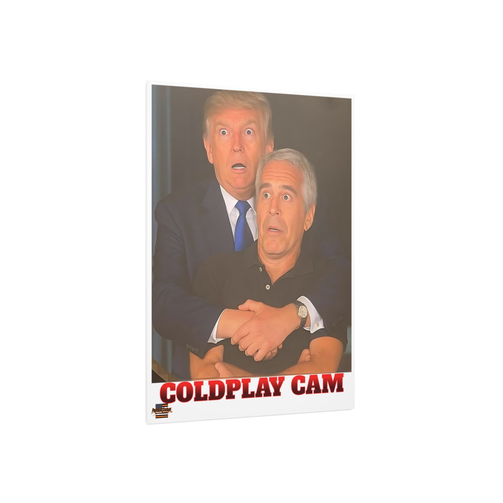 Trump and Epstein Coldplay Cam 18" X 24" Durable Foam Board Protest Sign