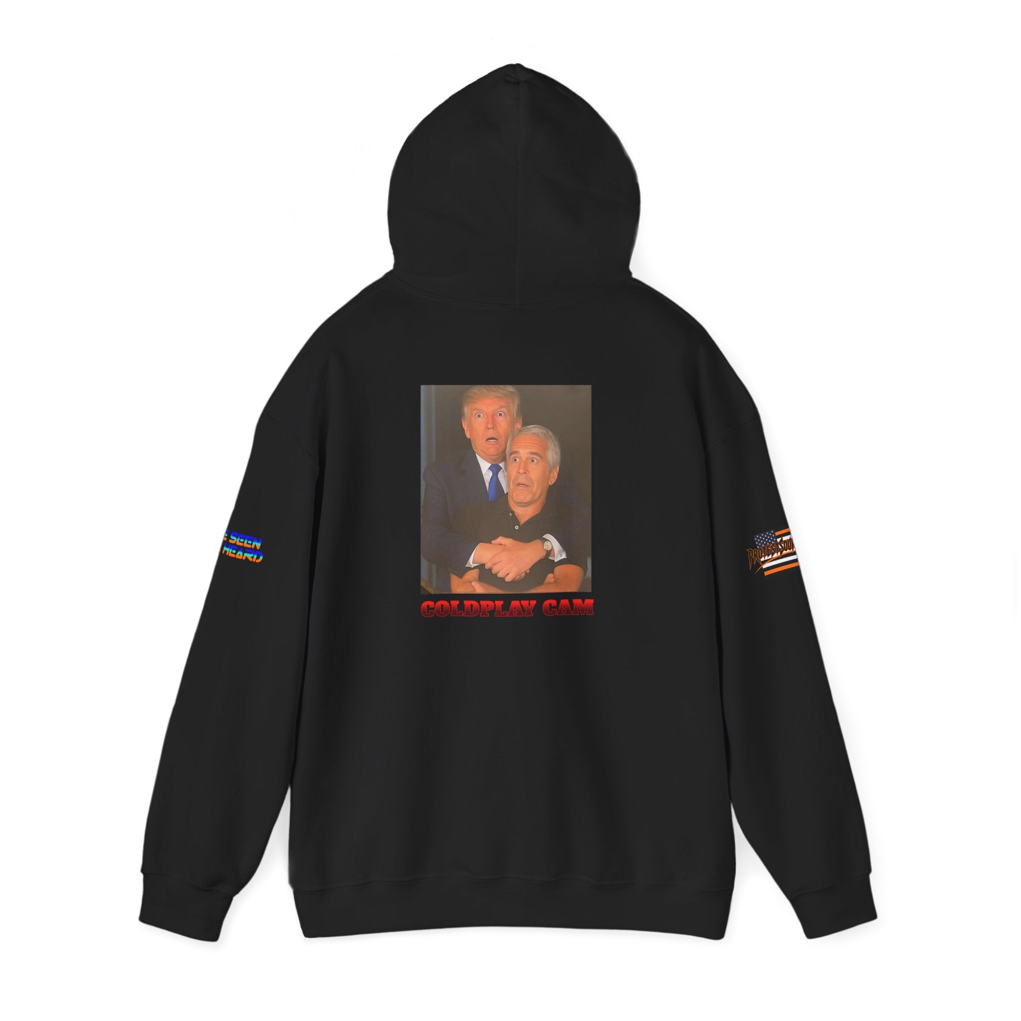 Trump Epstein Coldplay Cam Unisex Heavy Blend Gildan Hoodie Sweatshirt, Casual Wear, Gift for Activists, Comfortable Protest Wear