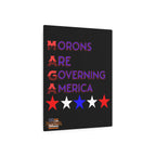 Morons Are Governing America 16"X20" Aluminum Metal Protest Sign