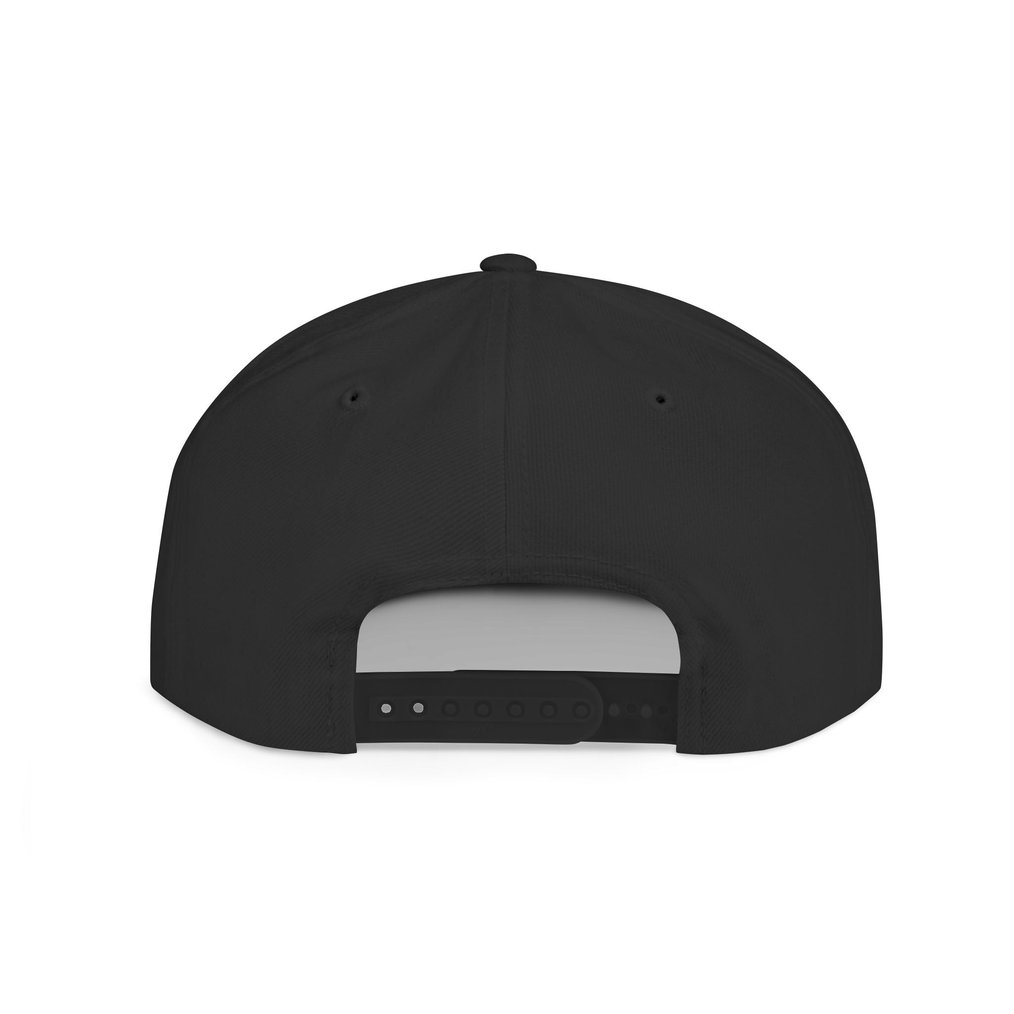 Protest Source Flat Bill Embroidered Snapback Hat, Protest Wear, Gift for Activists, Unisex One Size Fits All