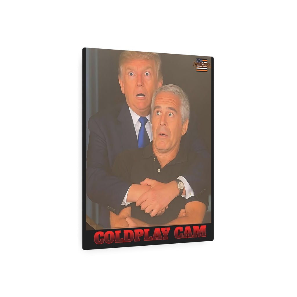 Trump and Epstein Coldplay Cam 16"X20" Aluminum Metal Protest Sign